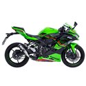 KAWASAKI NINJA ZX-4R - RR (2024)